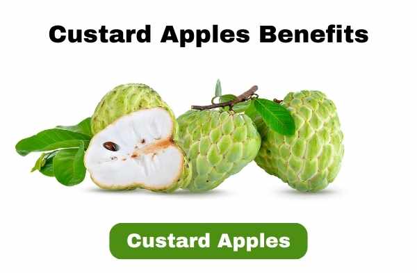 Custard Apples Benefits healthplusforever 