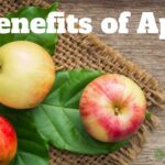 Benefits of Apple Healthplusforever